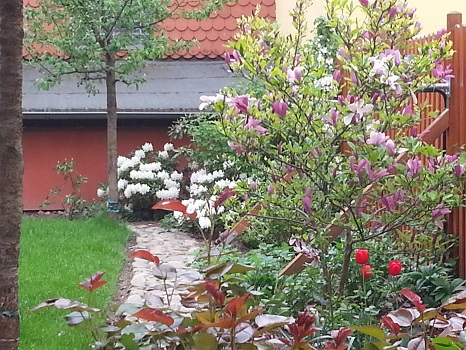 Sommer 2013